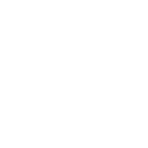 Visa Icon